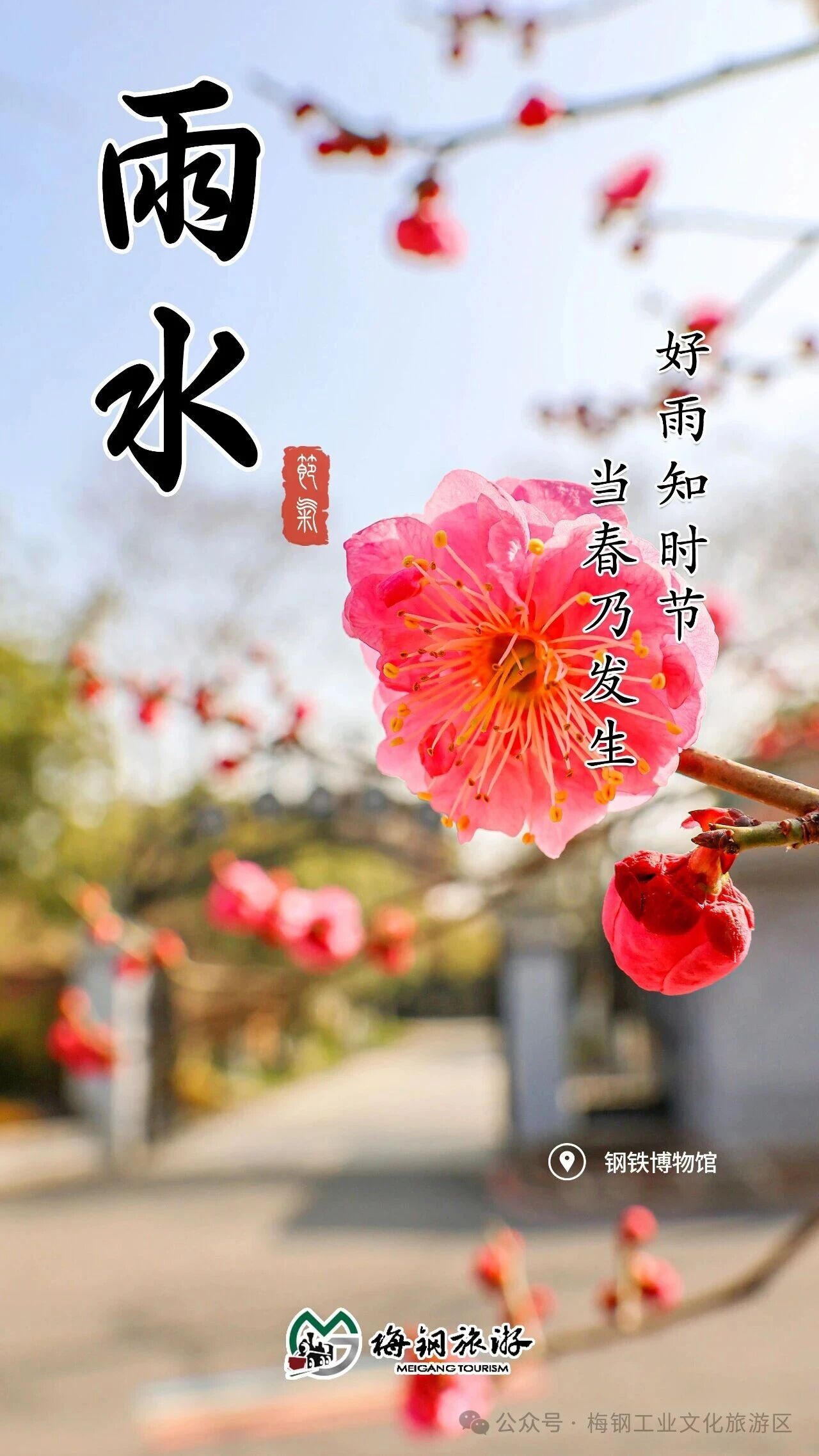 7c99019c-dfee-48a9-be73-6e4288df1693.jpg